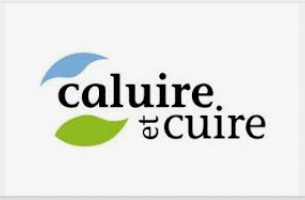 Logo Caluire 