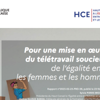 Titre du rapport